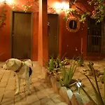 Peace Hostel