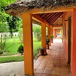Ala Blanca