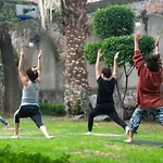 Casa Lulu Coyoacan