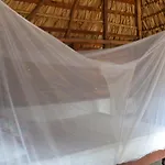 Ballelita