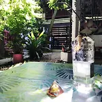 Hotel Posada Senor Manana