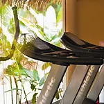 Hotel Villa Mercedes Palenque