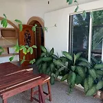 Palmas De Chahue