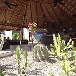Park Royal Homestay Los Cabos