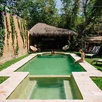 Tabachin Del Puerto