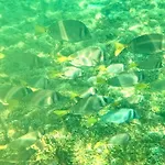 Agua Azul La Villa