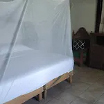 Shambhala Vision