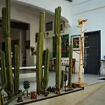Larimar Gallery Y Hotel Boutique