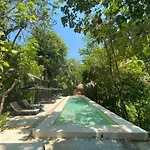 Piedra De Agua Palenque