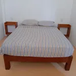 Hotel Papaya Surf