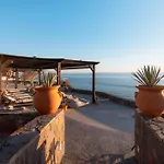 Orchid House Baja