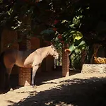 Rancho Reencuentro Eco Hotel & Cabalgatas