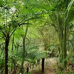 Hospedaje Totalmanik