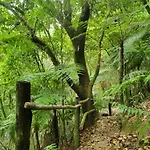 Hospedaje Totalmanik