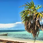 Beachouse Dive Hostel Cozumel