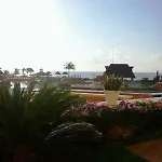 Aventura Cove Palace