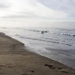 Delfin Playa Azul