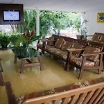 Delfin Playa Azul