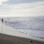 Delfin Playa Azul