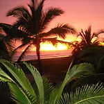 Bungalows Tree Tops - Adults Only
