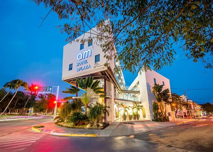 Am Hotel Y Plaza