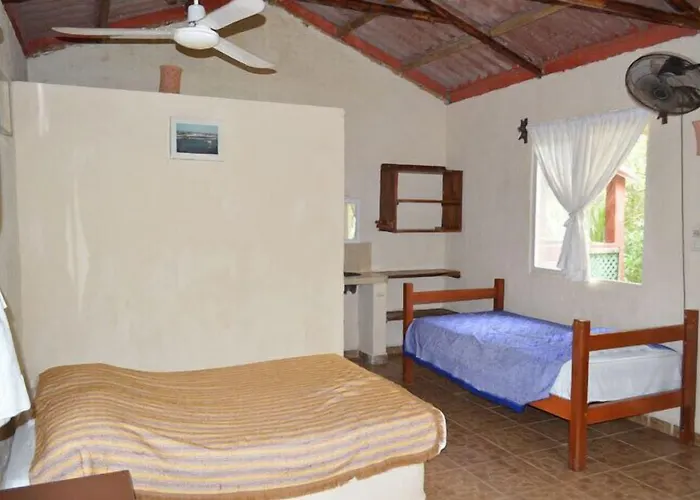 Cocoaventura