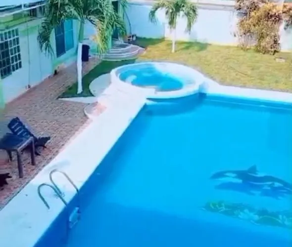 Villas Yoleth Hotel