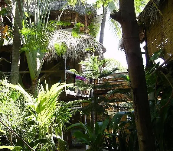 Castillo Oasis