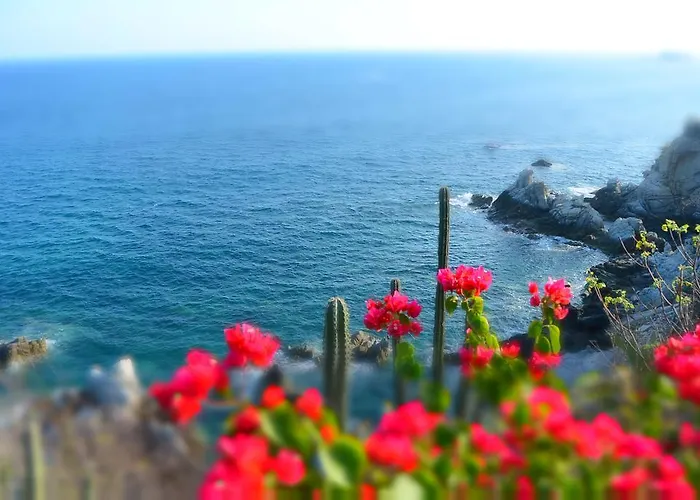 Bungalo En La Playa Tejon