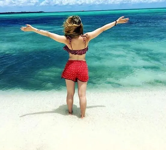 Beachouse Dive Hostel Cozumel
