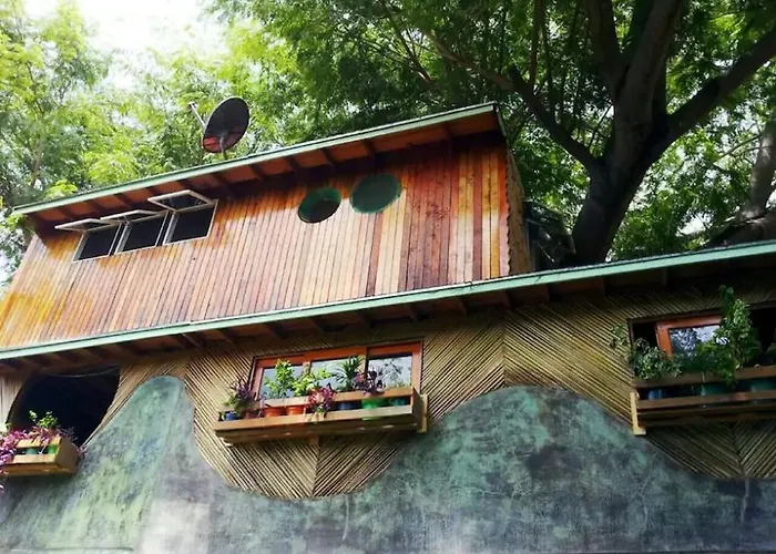 La Casa Del Arbol