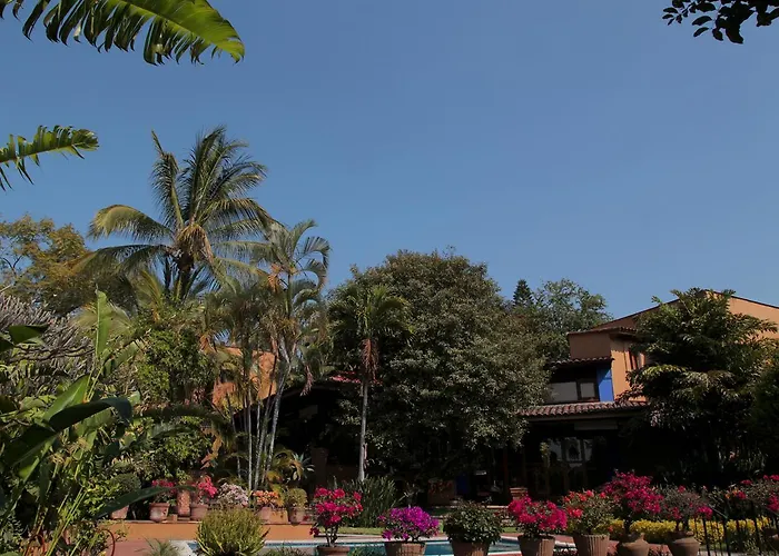 Orchidelirium Casa Hotel & Salud Estetica