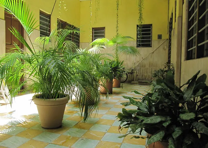 Hotel Amparo