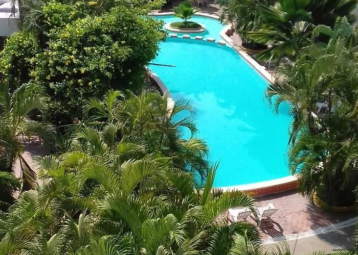 Delfin Playa Azul