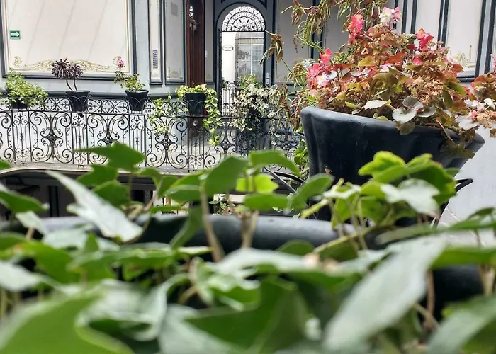 Leonora Hostal