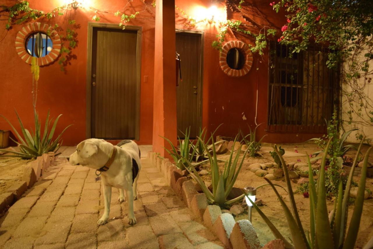 Hostel Peace La Paz