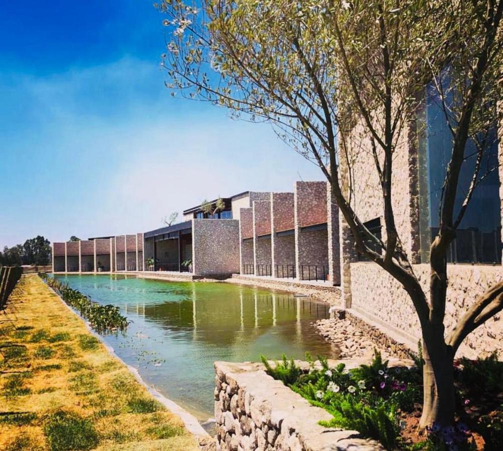 Hotel Vinedos San Francisco Alcocer