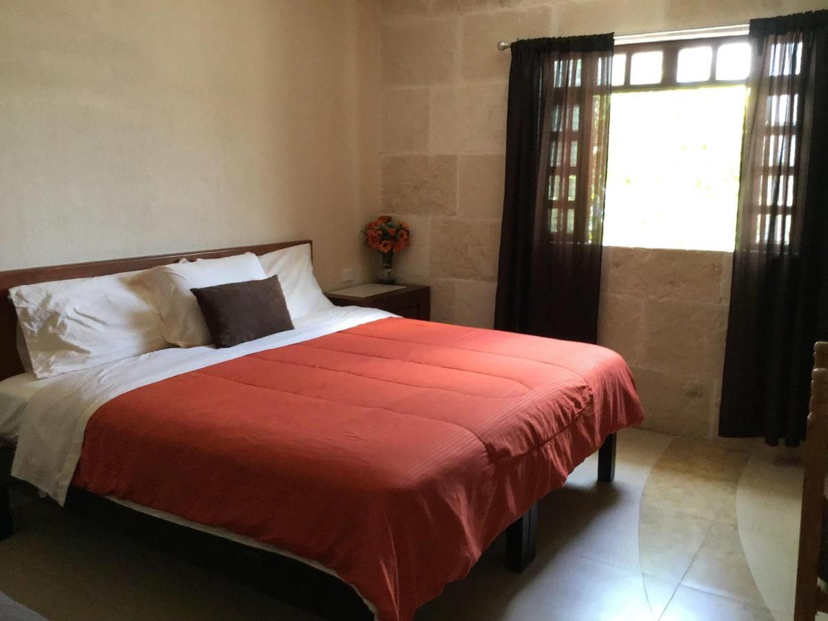 Pecari Bed & Breakfast