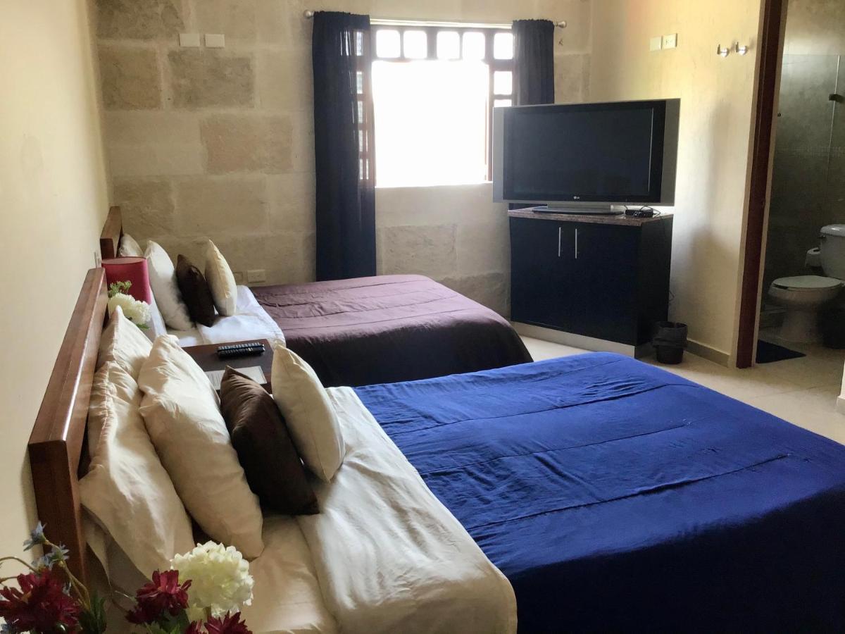Pecari Bed & Breakfast