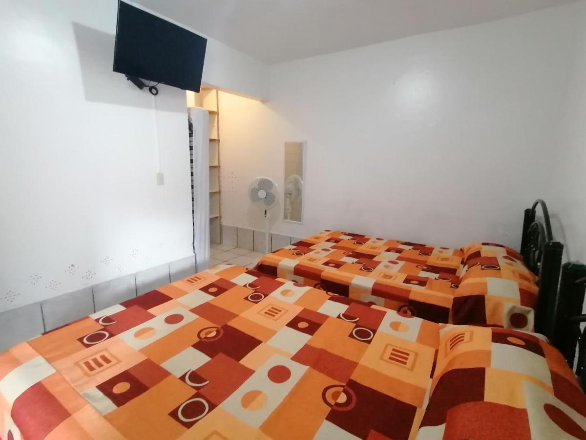 Maple Hostel *