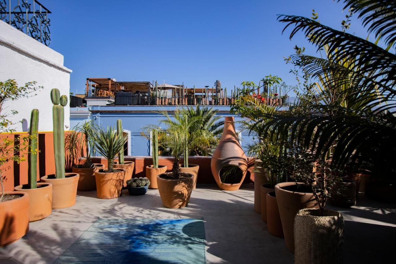 Hotel Amantes Oaxaca