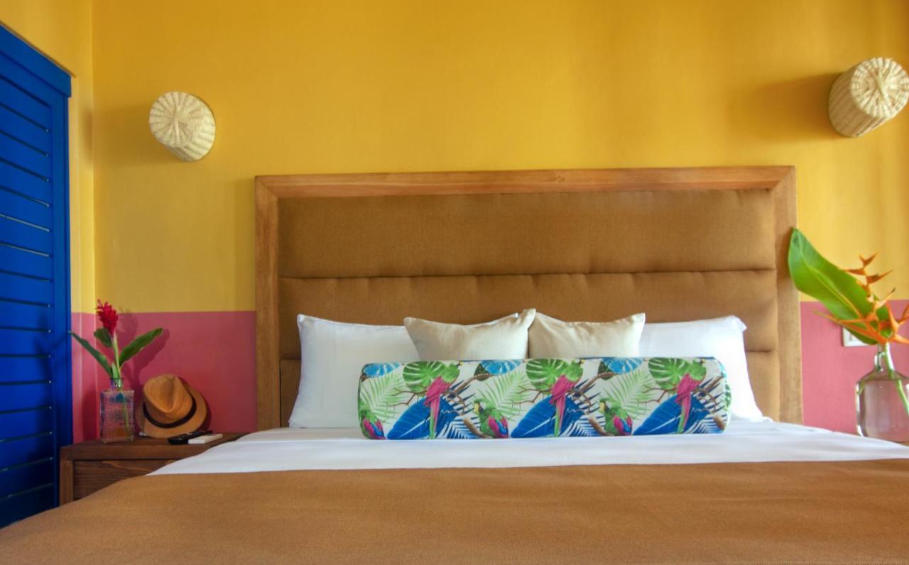 Hotel Albatros By Bedsfriends (adults Only) Cozumel