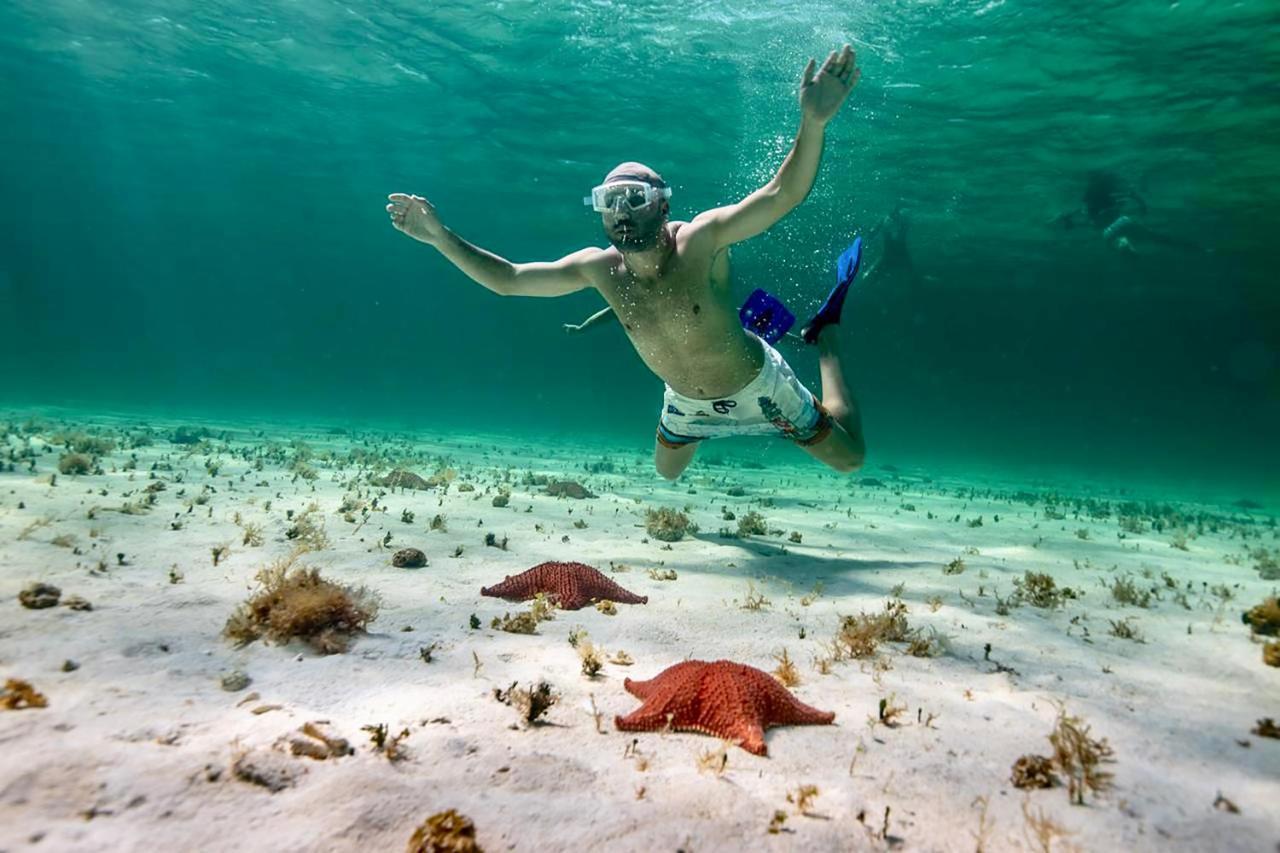 Albatros By Bedsfriends (adults Only) Cozumel
