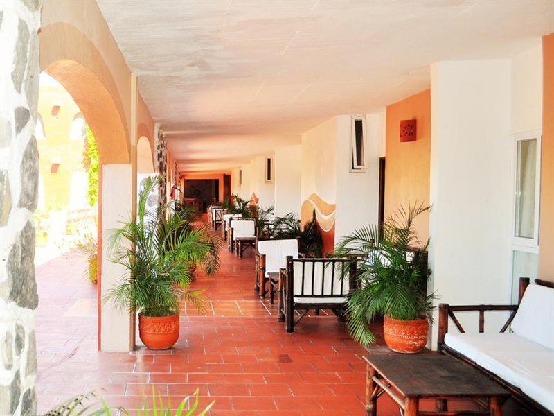 Zihua Caracol Zihuatanejo