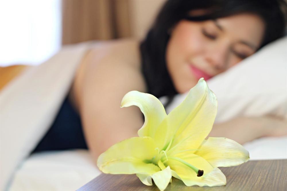 Palmareca Inn-suites-studio Hotel Tuxtla Gutierrez