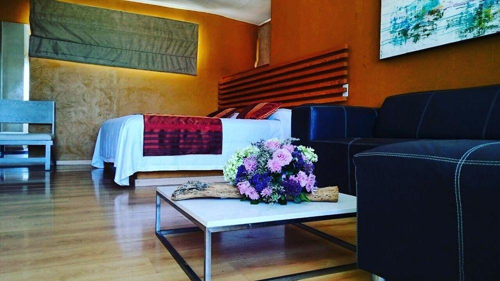 Hotel Vf 2*