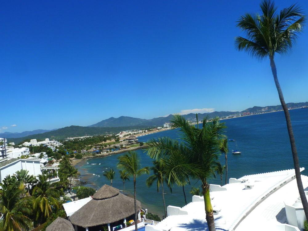 Dolphin Cove 4*