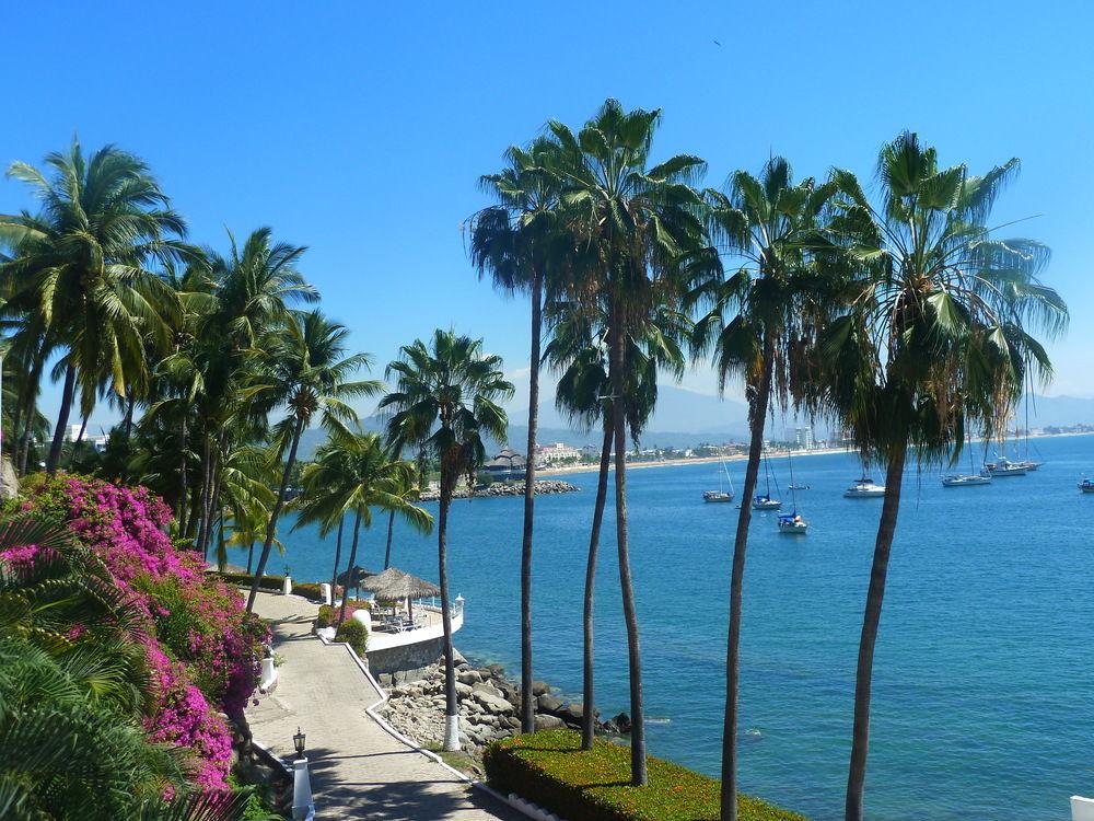 Aparthotel Dolphin Cove 4*