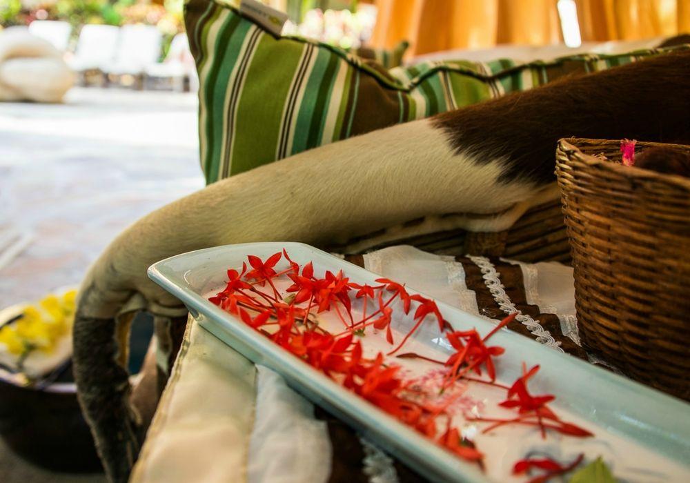 Tropicana Cabos, Tapestry Collection By Hilton San Jose del Cabo