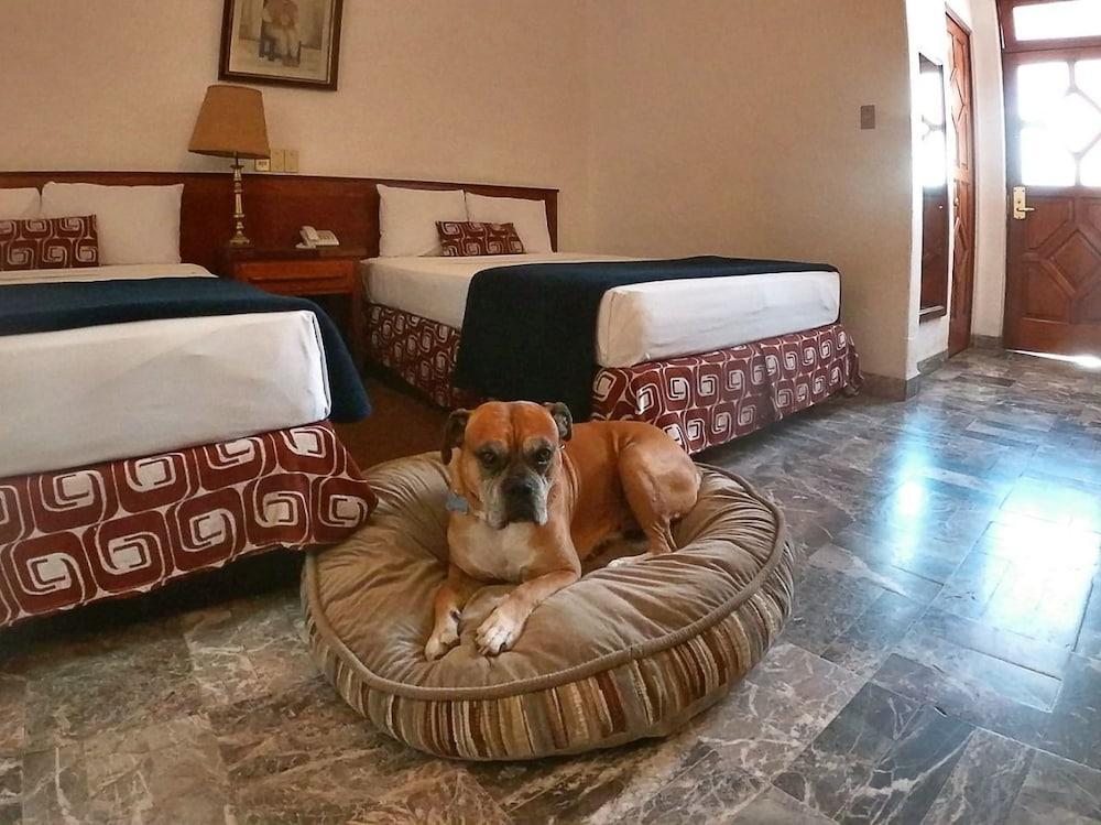 Hotel Gran Mexico By Solaris 5*